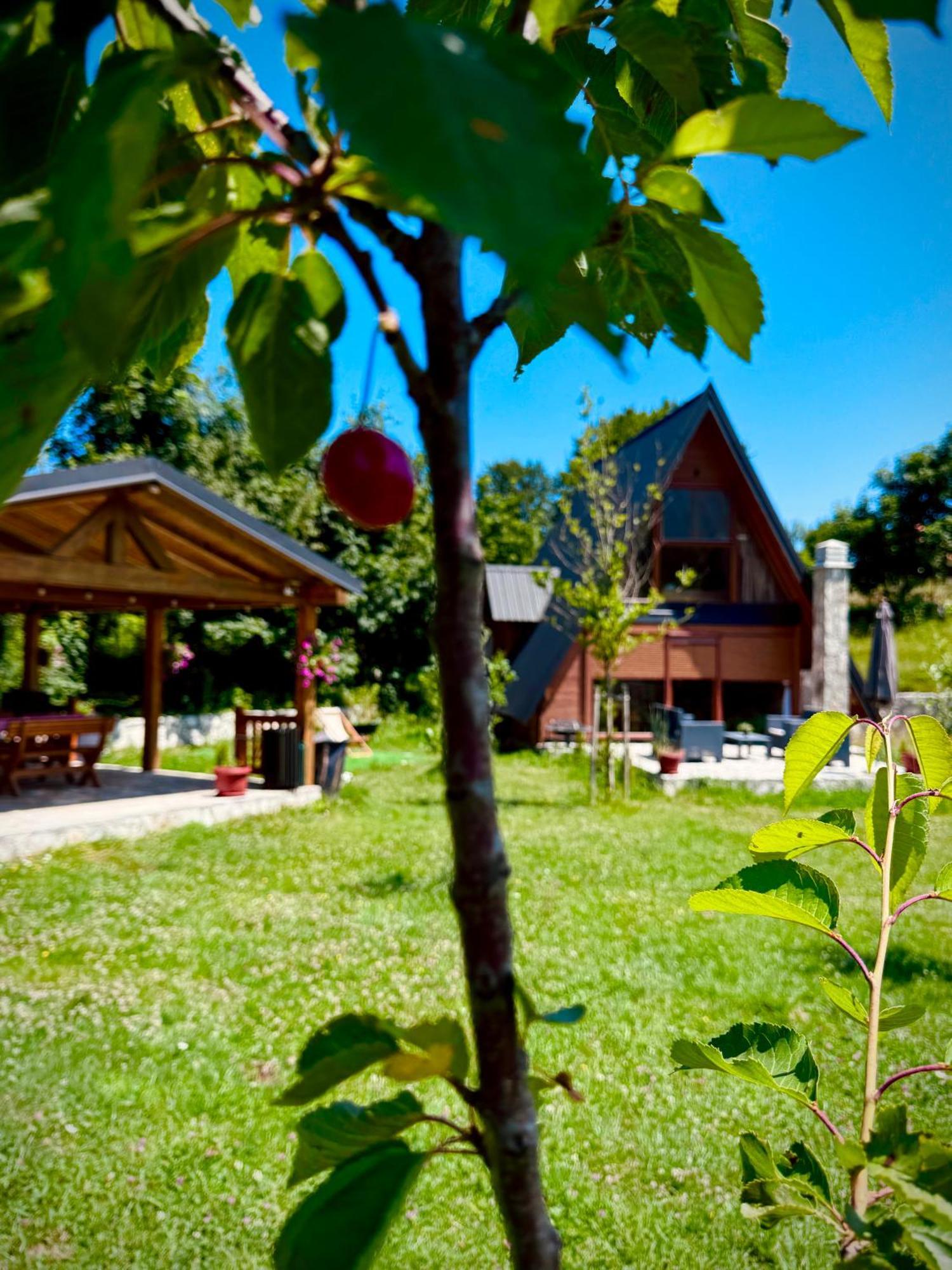 Albero Casa Villa Cetinje Exterior photo