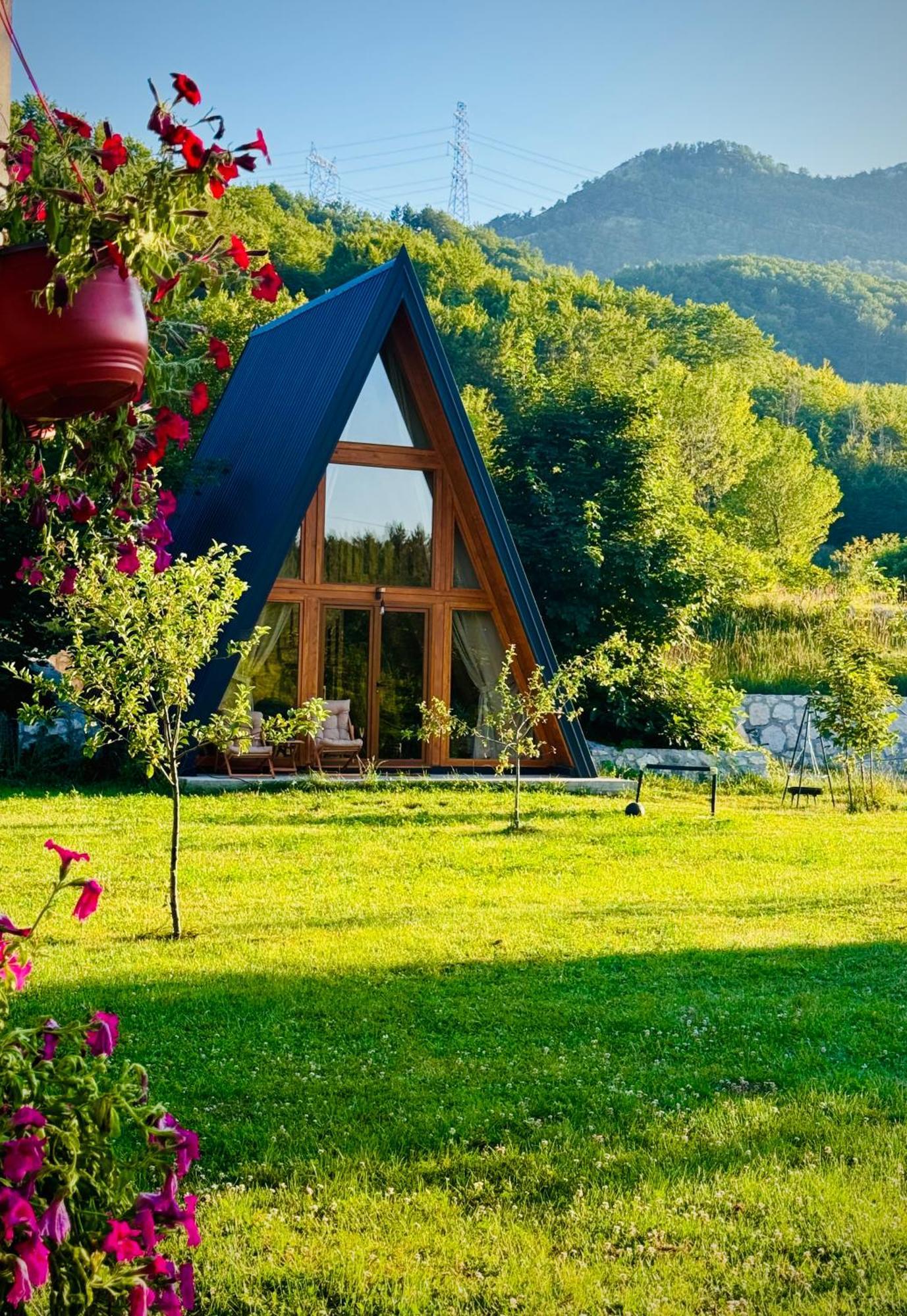 Albero Casa Villa Cetinje Exterior photo